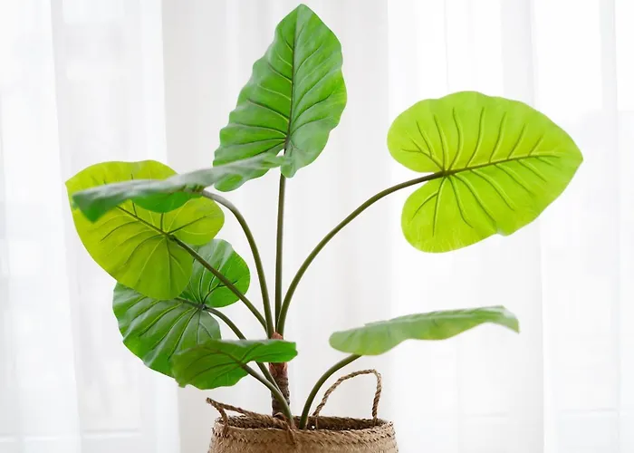 Kellenhus Fernweh Kellenhus 아파트